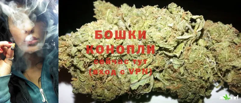 Шишки марихуана White Widow  даркнет состав  Саранск 